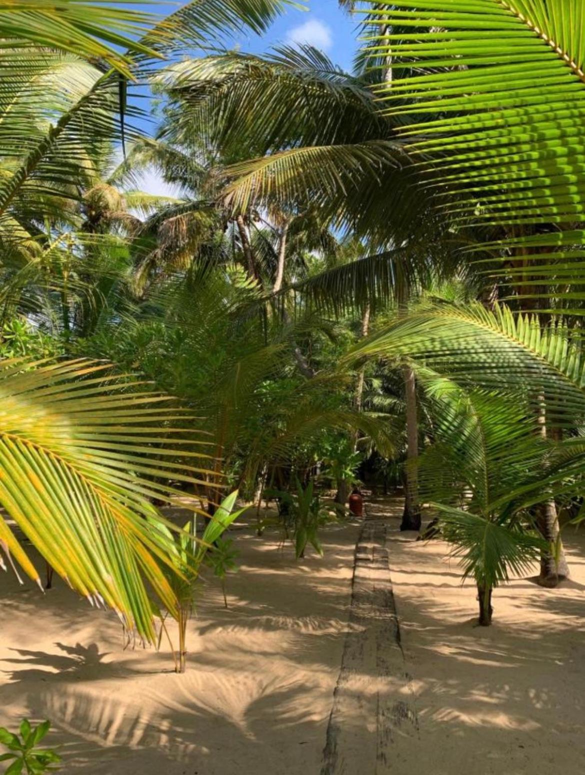 Ganesh Garden Beach Cabanas Tangalle Ngoại thất bức ảnh